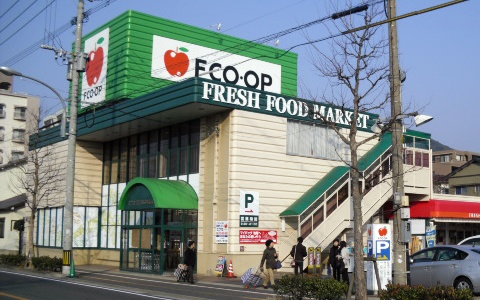スーパー　FCO・OP大里店（スーパー）まで561m