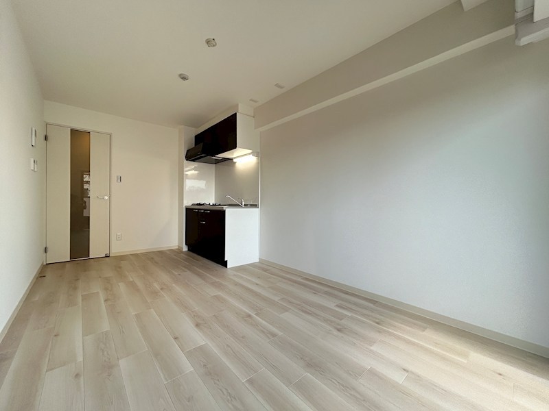 MAISON PREMIER 6の居間写真