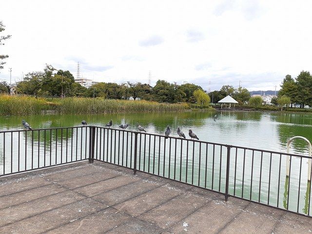 公園　弁天池公園（公園）まで750m