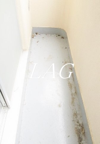 バルコニー　バルコニーです。