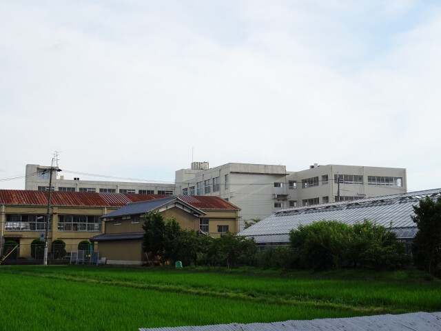 小学校　高槻市立郡家小学校（小学校）まで735m