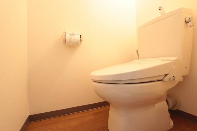 トイレ　綺麗なトイレットスペースです。