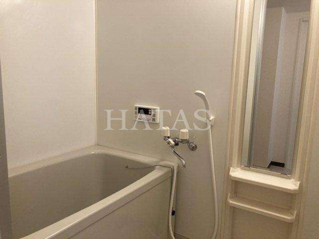 バス・シャワールーム　同物件別部屋です。