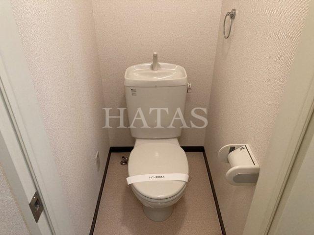 トイレ　同物件別部屋です。