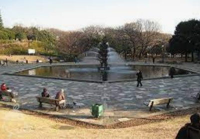 公園　世田谷公園（公園）まで512m