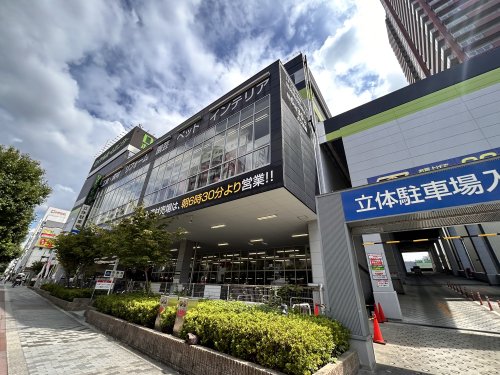 ホームセンター　ロイヤルホームセンター 森ノ宮（ホームセンター）まで300m