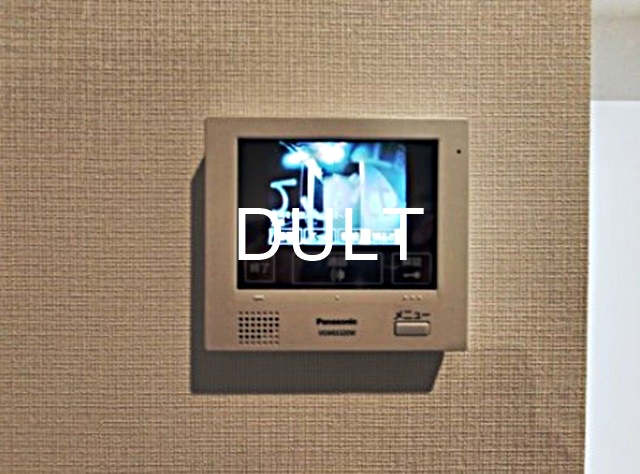 セキュリティ　モニター付きインターホンです。