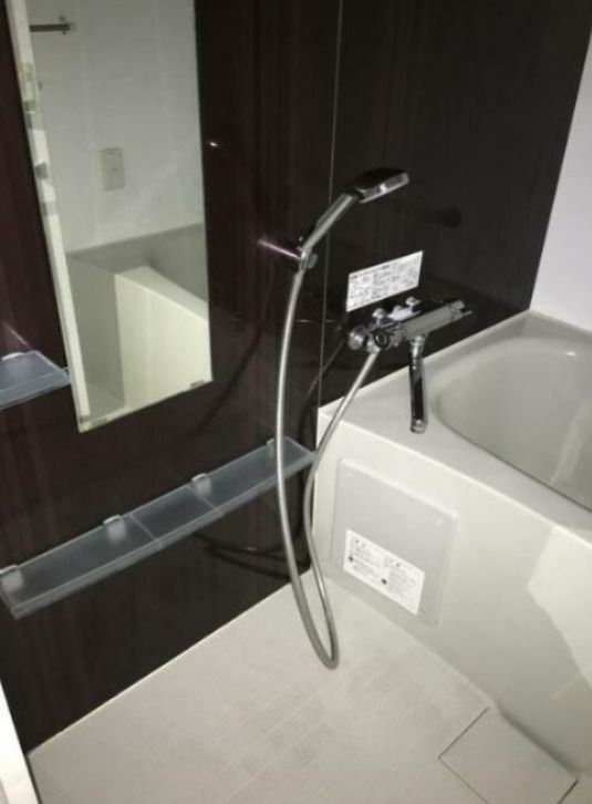 バス・シャワールーム　同タイプ部屋　参考写真です