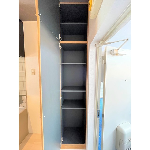 収納　シューズボックス