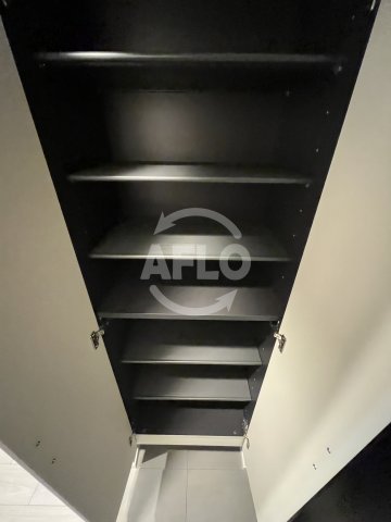 その他部屋・スペース　S-RESIDENCE大和田aline　シューズボックス