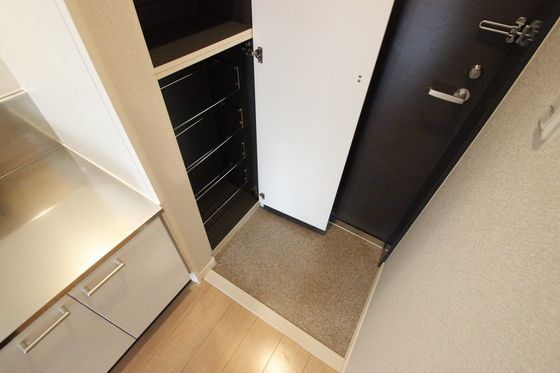 玄関　写真は別号室です。
