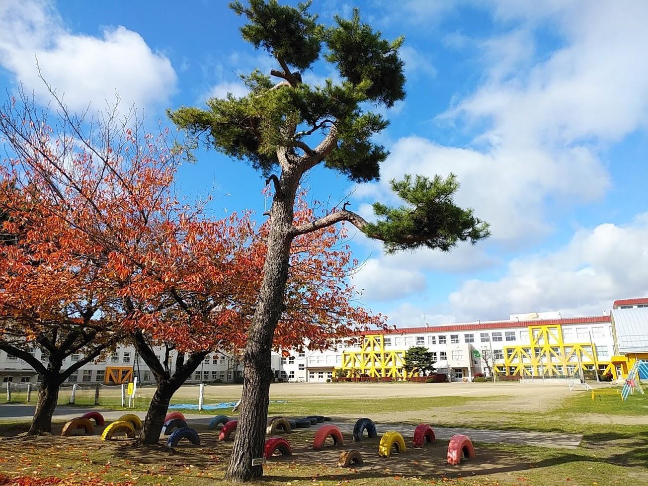 小学校　小中野小学校（小学校）まで600m