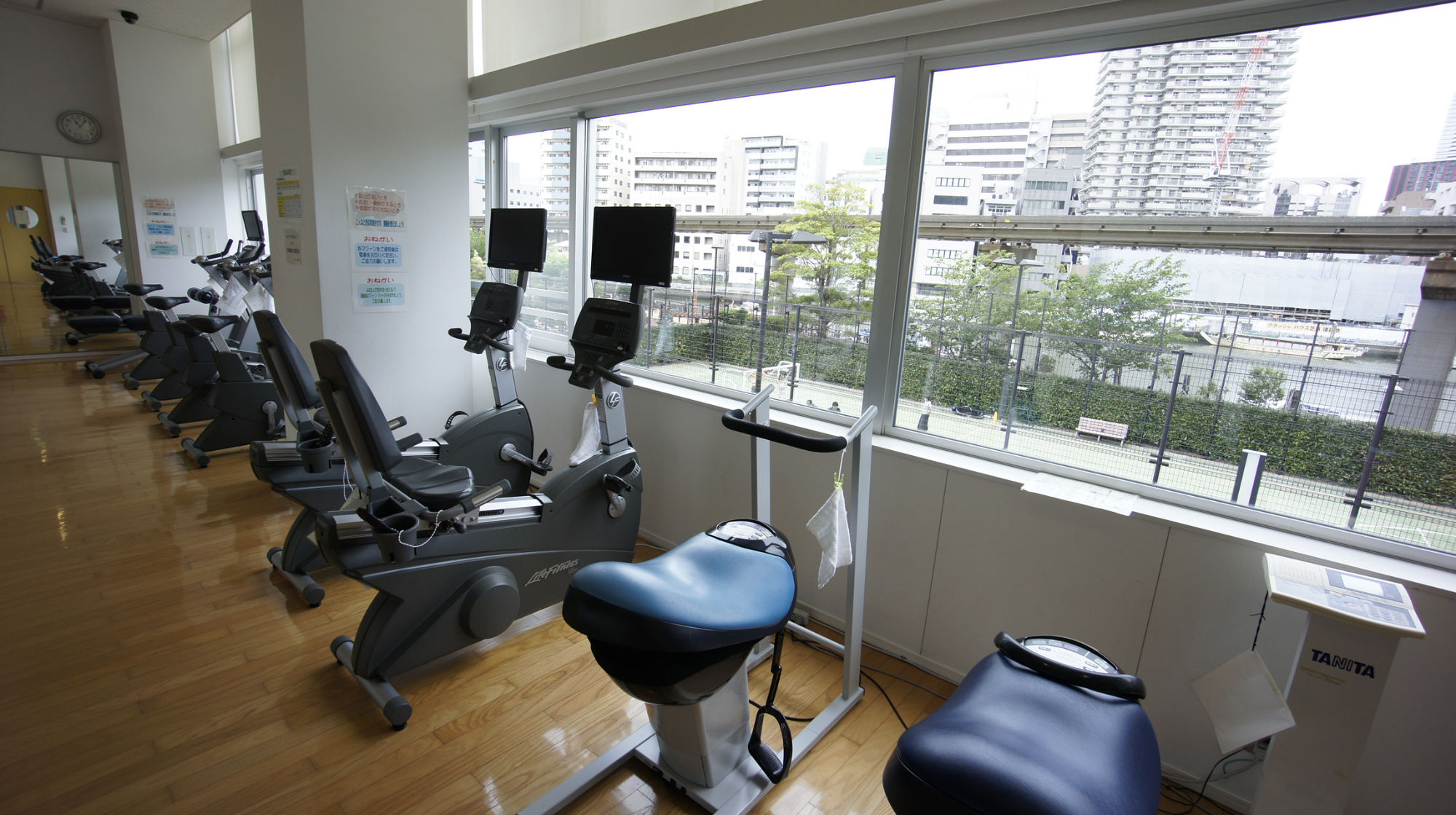 ドラックストア　ドラッグセイムス芝浦海岸通店（ドラッグストア）まで555m