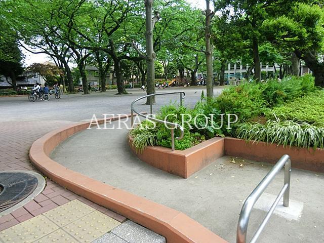 公園　常盤台公園（公園）まで533m