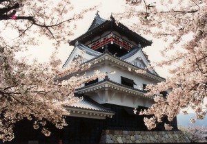 公園　城山公園（公園）まで803m