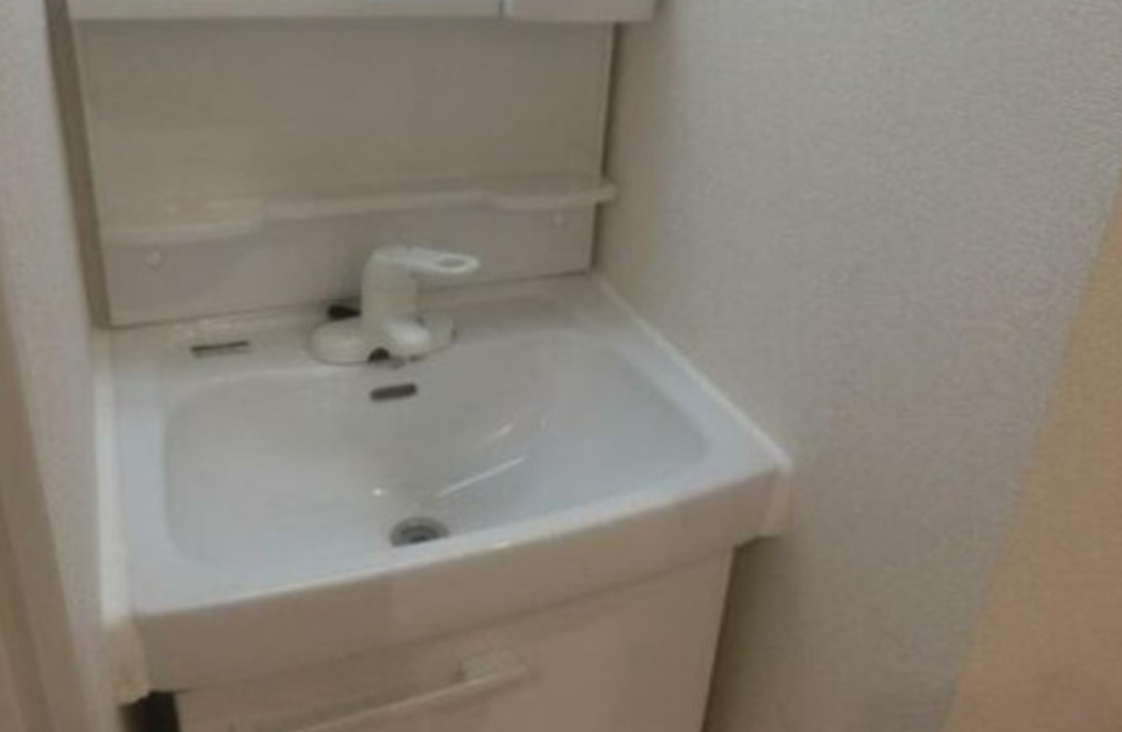 洗面設備　独立洗面台※別室参考写真