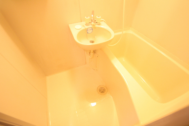 バス・シャワールーム　洗面台は浴室内です