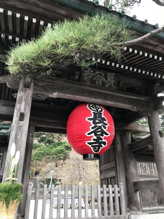 その他　長谷寺（その他）まで356m