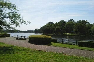 公園　門池公園（公園）まで350m