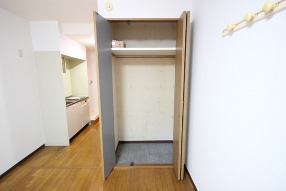 収納　※別部屋の写真です