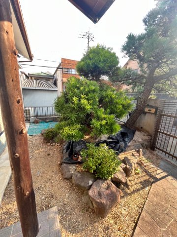 庭