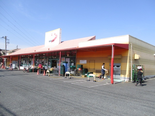 スーパー　旬鮮食品館カズン草加店（スーパー）まで637m