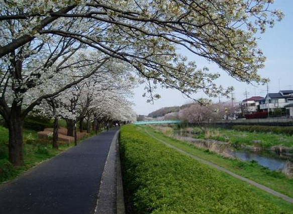 公園　野川緑道（公園）まで857m
