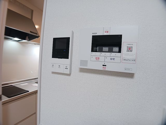 リッシュのその他写真