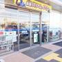 コンビニ　ローソン宮代中島南店（コンビニ）まで610m