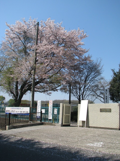 小学校　筑西市立関城西小学校（小学校）まで796m