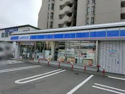 コンビニ　ローソン札幌南9条西八丁目店（コンビニ）まで335m
