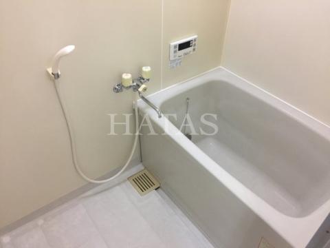 バス・シャワールーム　同物件別部屋です