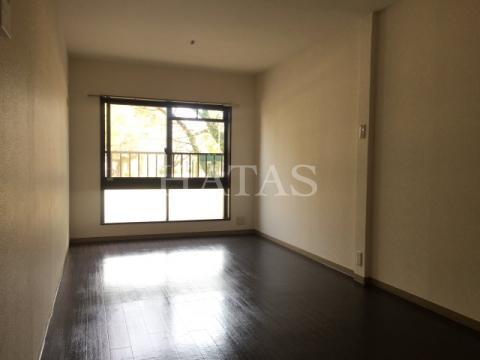 居室・リビング　同物件別部屋です
