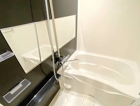 バス・シャワールーム　コンパクトで使いやすいお風呂です