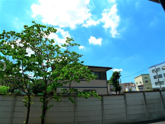 眺望