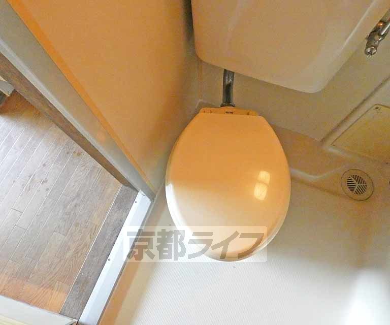 トイレ　トイレです！