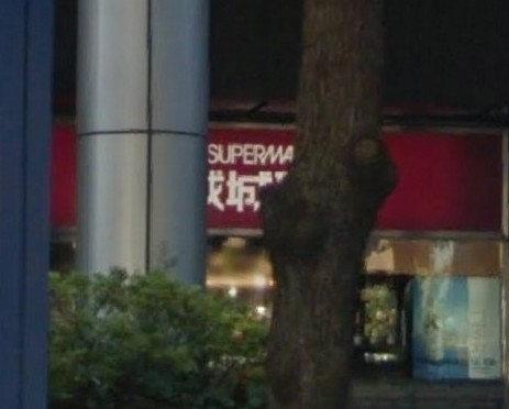 スーパー　成城石井赤坂アークヒルズ店（スーパー）まで285m