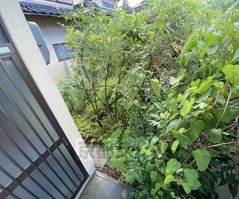 庭
