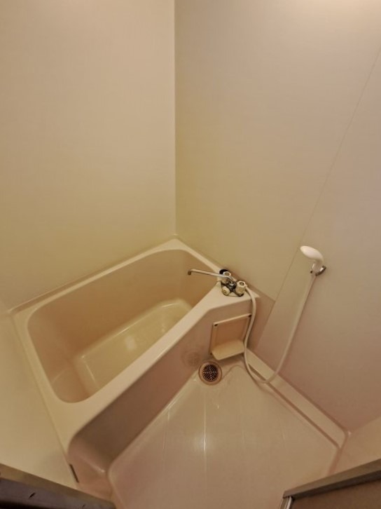 バス・シャワールーム　別のお部屋の写真になります