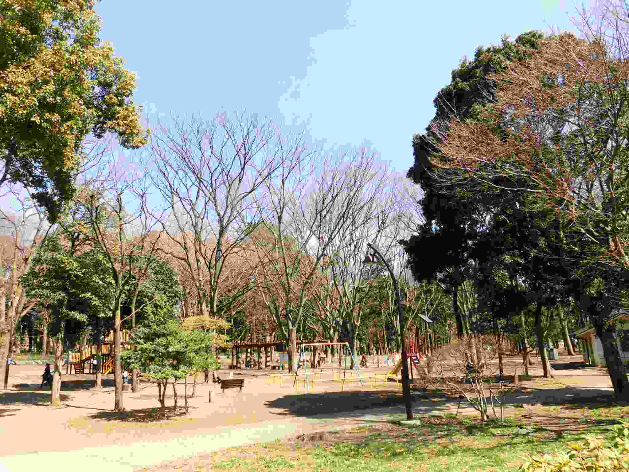 公園　都立蘆花恒春園（公園）まで1332m