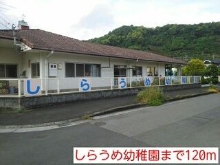 幼稚園・保育園　しらうめ幼稚園（幼稚園・保育園）まで120m