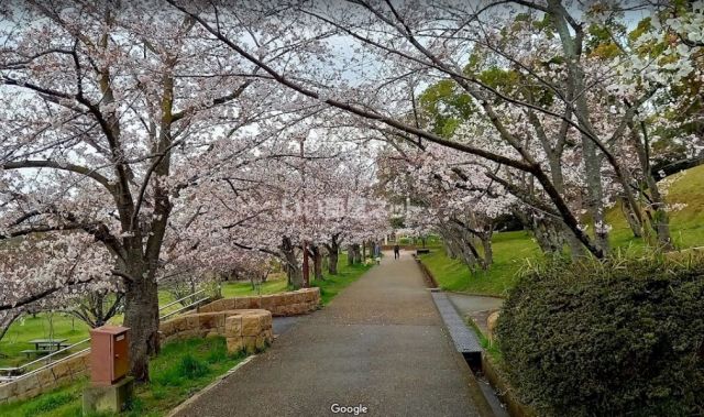 公園　黒鳥山公園（公園）まで1323m