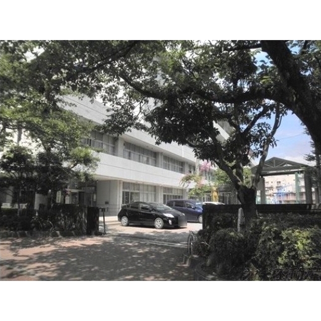 小学校　静岡市立葵小学校（小学校）まで800m