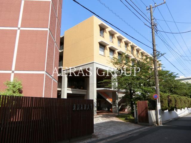 大学・短大　東京未来大学（大学・短大）まで1209m