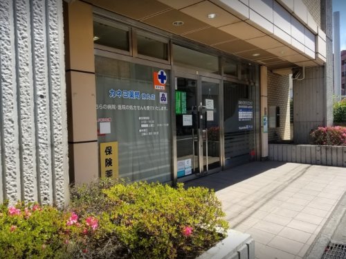 ドラックストア　カネヨ薬局徳丸店（ドラッグストア）まで412m