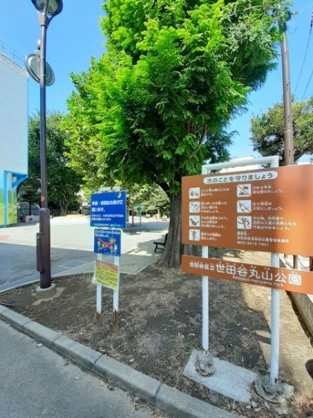 公園　世田谷丸山公園（公園）まで250m