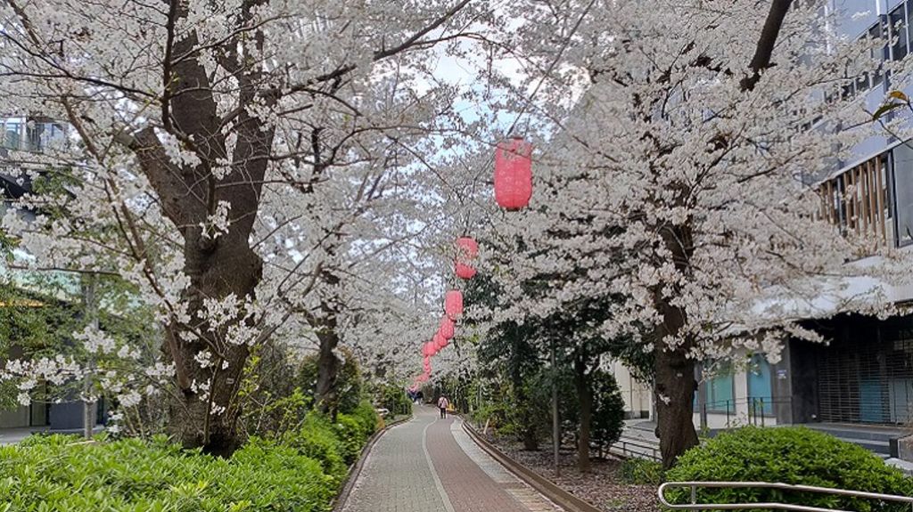 公園　大島緑道公園（公園）まで930m