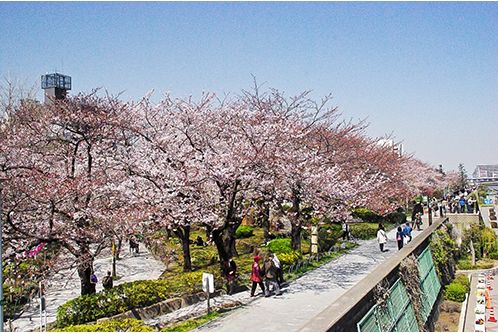 公園　隅田公園（公園）まで933m