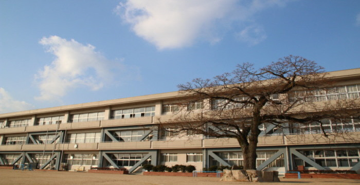 小学校　斑鳩小学校（小学校）まで1173m