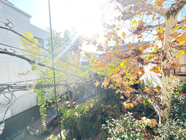 眺望